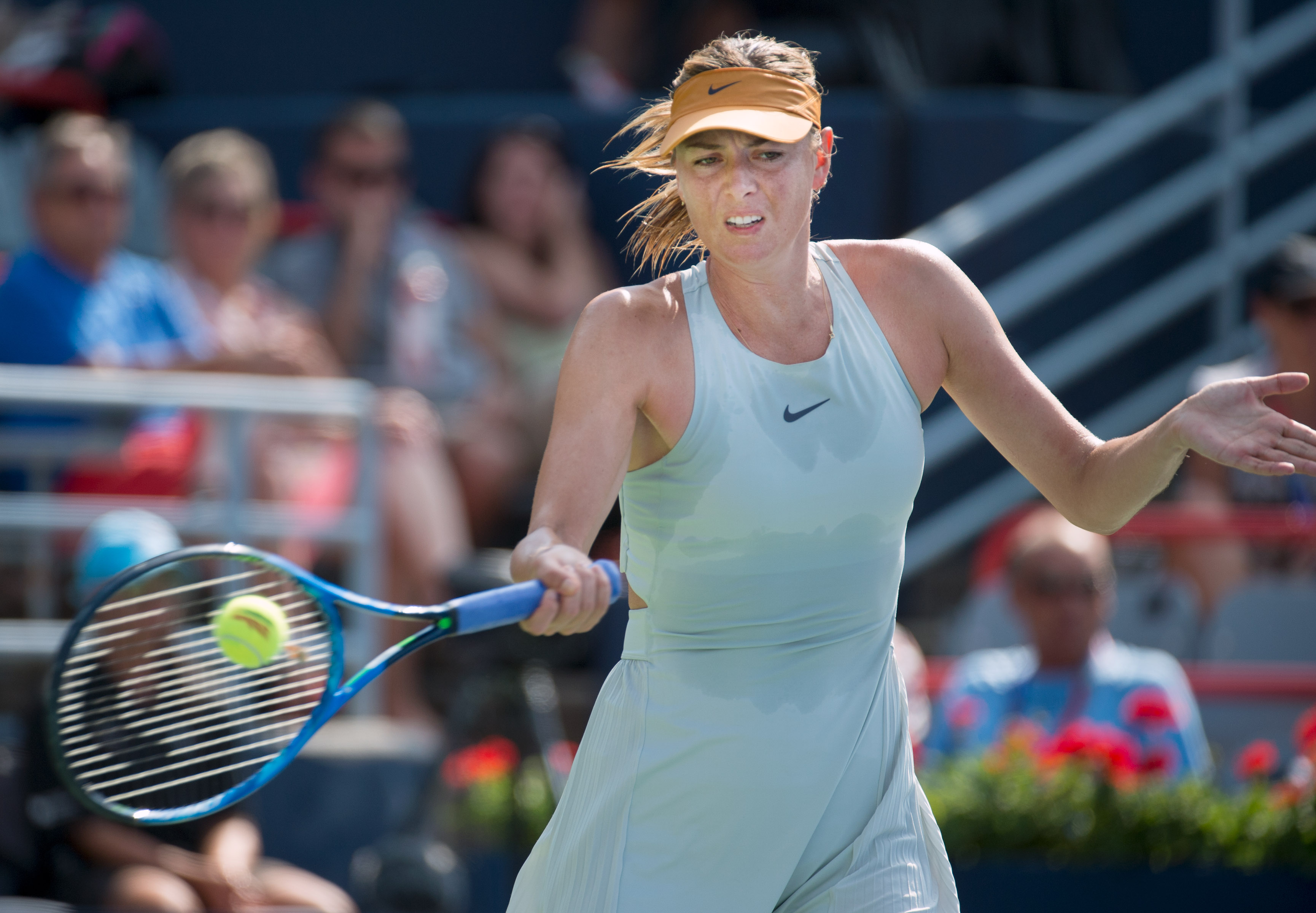 爱游戏官网注册入口 莎拉波娃复出后冠军数量 